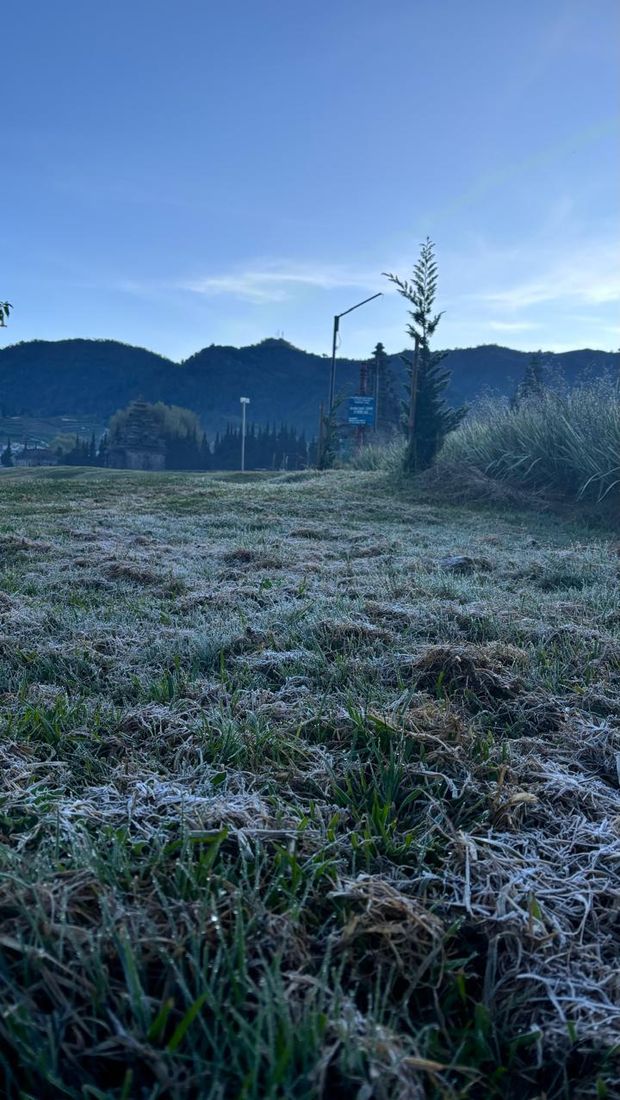 Embun beku di komplek Candi Arjuna Dieng, Banjarnegara, Selasa (13/8/2024) pagi.