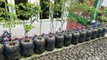 Kampung Galon di Cianjur yang Unik dan Estetik