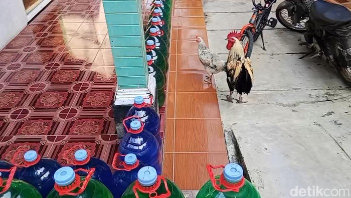 Kampung Galon yang estetik di Cianjur. Kampung Galon yang estetik di Cianjur.