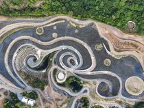 Keren! Taman di Bosnia Diubah Jadi Replika Lukisan Van Gogh