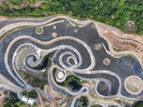 Keren! Taman di Bosnia Diubah Jadi Replika Lukisan Van Gogh