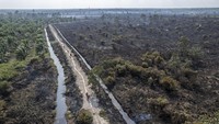 Sedikitnya 30 hektare lahan di kawasan itu terbakar pada Senin (12/8/2024) siang, dan hingga Selasa (13/8/2024) upaya pendinginan masih dilakukan sejumlah pihak.