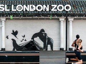 Lagi, Banksy Buat Mural Badak Bercula-Gorila di London