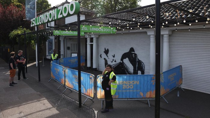 A view of the new Banksy artwork at the London Zoo, in London, Britain, August 13, 2024. REUTERS/Hollie Adams
