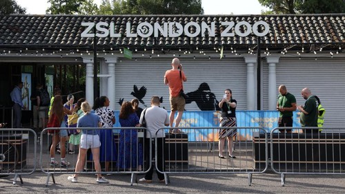 A view of the new Banksy artwork at the London Zoo, in London, Britain, August 13, 2024. REUTERS/Hollie Adams