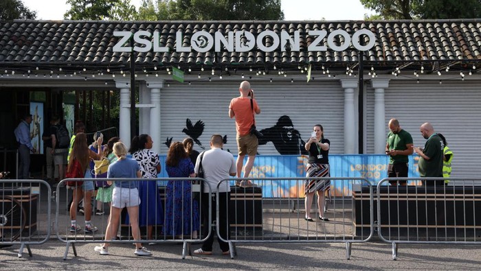 A view of the new Banksy artwork at the London Zoo, in London, Britain, August 13, 2024. REUTERS/Hollie Adams