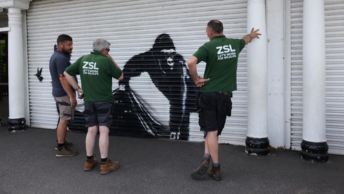 A view of the new Banksy artwork at the London Zoo, in London, Britain, August 13, 2024. REUTERS/Hollie Adams