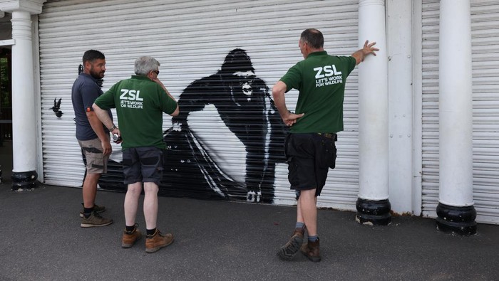 A view of the new Banksy artwork at the London Zoo, in London, Britain, August 13, 2024. REUTERS/Hollie Adams