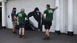 Mural Banksy Muncul Lagi di London, Kali Ini Gorila Mural Banksy Muncul Lagi di London, Kali Ini Gorila