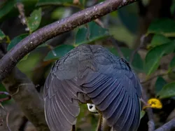 Aksi Lucu Para Hewan Terabadikan Kamera, Gemes Abis!