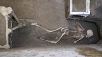 Penemuan tersebut merupakan bagian dari penggalian di Wilayah IX Pompeii, penggalian ini telah mengungkap sejumlah besar bangunan dan artefak kuno, termasuk toko roti, renovasi rumah, dan kamar-kamar yang dihiasi dengan gambar-gambar rumit.  