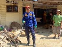 Hii!! Ular King Kobra 3 Meter Ngumpet di Dapur Rumah Warga Ciamis