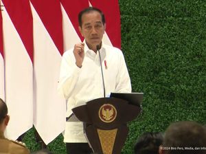 Saat Jokowi Bandingkan Kualitas Udara IKN dengan Singapura