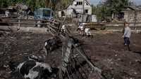 Yurii dan rekan-rekan petani di wilayah Sumy, Ukraina, telah mengalami serangan rudal, pesawat nirawak, dan bom cluster selama berbulan-bulan dari wilayah Rusia.