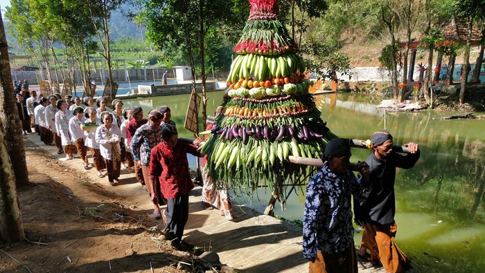 Tradisi Unik Selasa Pahing, Manten Tembakau di Lereng Gunung Sumbing Sepasang remaja membawa pohon tembakau saat ritual Manten Tembakau di sendang Piwakan, kawasan lereng Gunung Sumbing Dusun Gopaan, Genito, Windusari, Magelang, Jateng, Selasa (13/8/2024). Tradisi Manten Tembakau rutin dilaksanakan masyarakat petani setempat setiap Selasa Pahing bulan Sapar penanggalan Jawa yang merupakan pernikahan sepasang pohon tembakau bernama Kyai Pulung Seto dan Nyai Srinthil sebagai wujud permohonan kepada Tuhan agar mendapat kesuksesan dan kelancaran selama musim tembakau. ANTARA FOTO/Anis Efizudin/rwa.