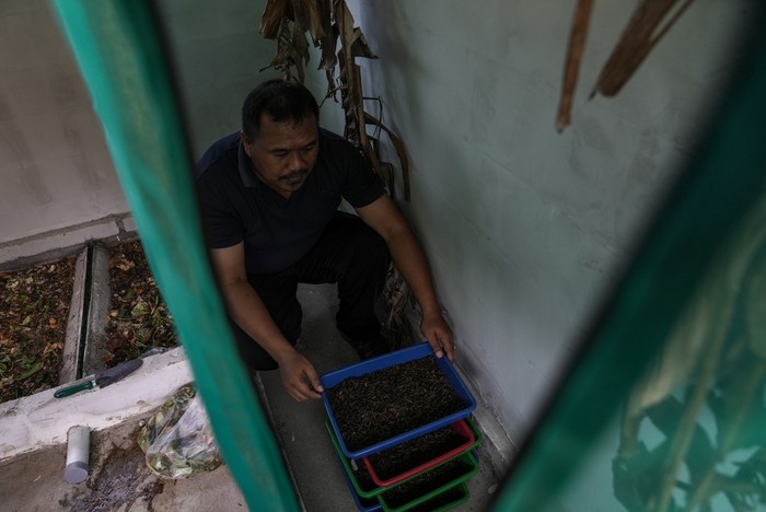 Bank Sampah program CSR Mamaku PT KPI Unit Cilacap Seorang warga melakukan pengolahan sampah plastik di Bank Sampah Abhipraya yang merupakan bagian dari program Masyarakat Mandiri Kutawaru (Mamaku), PT Kilang Pertamina Internasional (KPI) Unit Cilacap, di Kelurahan Kutawaru, Cilacap, Jawa Tengah, Selasa (13/8/2024). Sampah tersebut dikelola oleh warga melalui bank sampah agar mempunyai manfaat ekonomi lebih dengan menjual sampah plastik yang telah dicacah dan pemanfaatan sampah organik untuk budidaya magot, sebagai tambahan pakan ternak unggas dan ikan. ANTARA FOTO/Idhad Zakaria. ANTARA FOTO/Idhad Zakaria/foc.