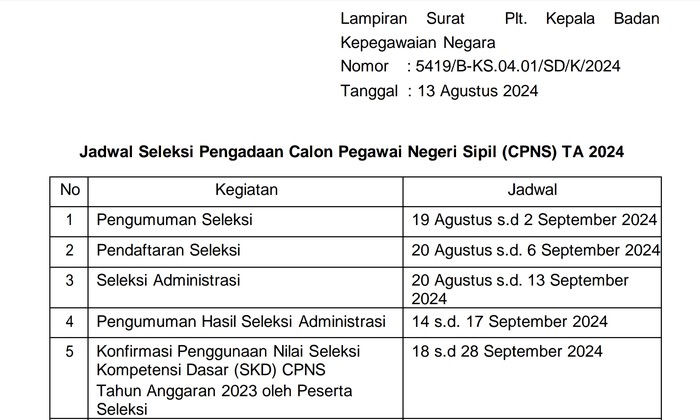 CPNS 2024
