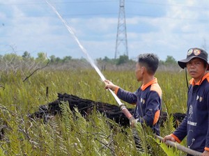 Restorasi Permanen Disebut Solusi Pemulihan Ekosistem Gambut Berkelanjutan