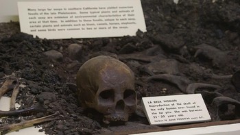 Masuk akal bahwa tengkorak manusia harus ditemukan di La Brea Tar Pits setelah di situlah arkeolog menemukan banyak tulang dinosaurus. Namun, ketika mereka menemukan tengkorak wanita La Brea, ada alasan untuk khawatir. Setelah para peneliti menemukan bahwa dia bukan korban kejahatan atau permainan kotor baru-baru ini, mereka merasa lebih baik. Foto: The Travel