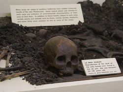 Foto Temuan Arkeologi yang Aneh dan Membingungkan dari Seluruh Dunia