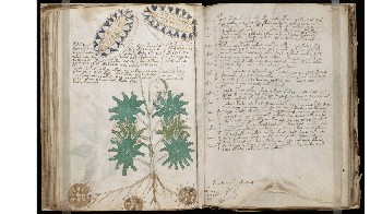 Naskah Voynich, yang ditulis dan digambar dengan hati-hati, tetapi tidak dapat dibaca. Bahasa dalam buku tidak dapat diuraikan, dan gambar-gambarnya menggambarkan hal-hal yang belum pernah terlihat sebelumnya. Buku ini ditulis dengan bahasa yang mati atau terlupakan yang penuh dengan rahasia Foto: The Travel