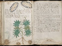 Foto Temuan Arkeologi yang Aneh dan Membingungkan dari Seluruh Dunia