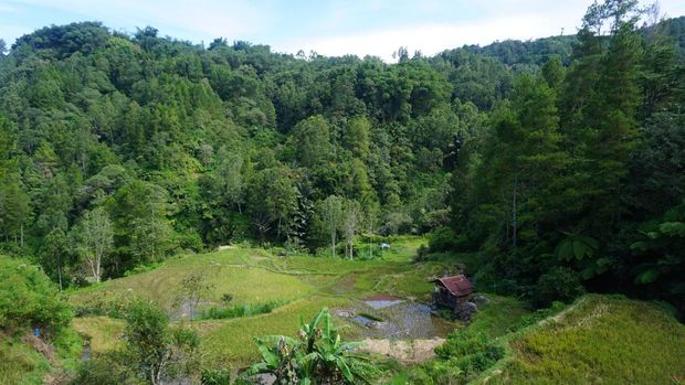 Kafe dan Glamping Kapitoo di Toraja