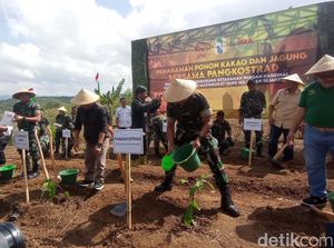 Tingkatkan Ketahanan Pangan, Kostrad Tanam Jagung-Kakao di Tasikmalaya