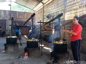 Sepak Terjang Desa Les jadi Desa Wisata Andalan di Bali