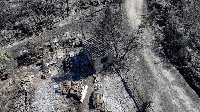 A drone view shows a charred area following a wildfire, in the village of Rapentosa, Greece, August 13, 2024. REUTERS/Fedja Grulovic