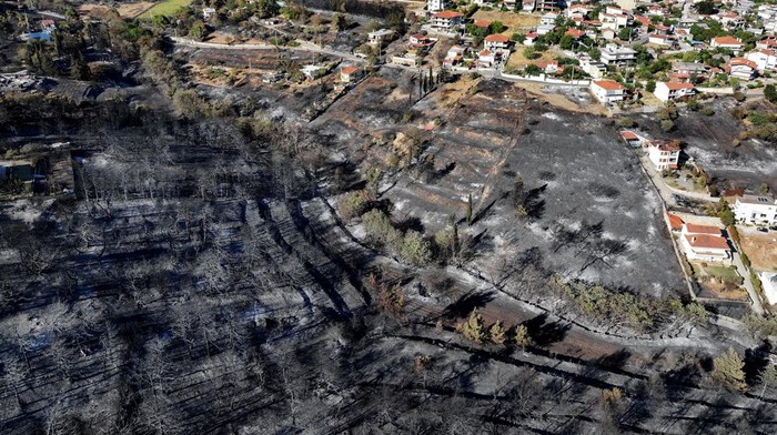 Potret Kehancuran Setelah Kebakaran Hutan Landa Pinggiran Athena A drone view shows a charred area following a wildfire, in the village of Rapentosa, Greece, August 13, 2024. REUTERS/Fedja Grulovic