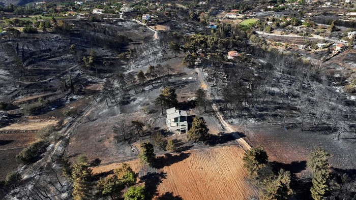 A drone view shows a charred area following a wildfire, in the village of Rapentosa, Greece, August 13, 2024. REUTERS/Fedja Grulovic