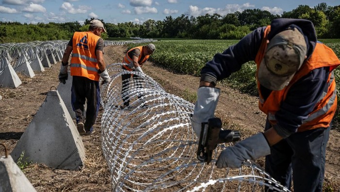 Workers install anti-tank fortifications, named 'dragon's teeth', and razor wire, amid Russia's attack on Ukraine, near the Russian border in Sumy region, Ukraine August 14, 2024. REUTERS/Viacheslav Ratynskyi