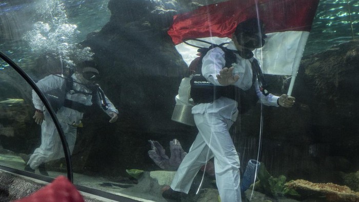 Bakal Ada Pengibaran Bendera di Bawah Air, Ini Potret Gladi Bershinya Penyelam mengibarkan bendera Merah Putih dalam gladi bersih memperingati HUT Ke-79 Kemerdekaan RI di Sea World Ancol, Jakarta, Kamis (15/8/2024). Dalam rangka memeriahkan HUT ke-79 RI, Ancol Taman Impian menggelar berbagai kegiatan dengan tema Merdekaria di seluruh unit rekreasi salah satunya yaitu pengibaran bendera Merah Putih di Sea World. ANTARA FOTO/Aprillio Akbar/foc.
