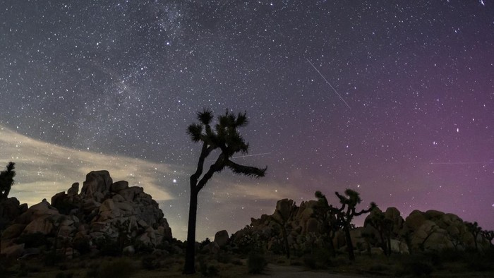 Northern Lights (Aurora Borealis) illuminate the sky above Joshua Tree National Park during the Perseids Meteor shower in Joshua Tree, California, early on August 12, 2024. Strong solar activity caused these dazzling celestial arrays to appear in lower latitudes around the world. (Photo by Apu GOMES / AFP)