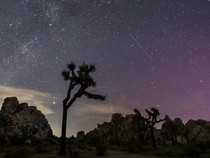 Apa Itu Fenomena Hujan Meteor Perseid yang Terjadi Dini Hari Tadi?