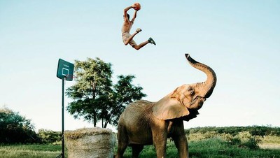 Foto Memukau Satwa Liar Karya Fotografer Seluruh Dunia Termasuk RI