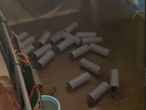 Agak Lain! Begini Kronologi Pemilik Kos Temukan Tambak Lobster di Dalam Kamar