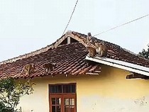 Dari Bocor hingga Genteng Hilang, Ini Sederet Permasalahan pada Atap Rumah