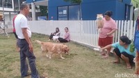 Adapun tempat bermain anak yang berada tak jauh dari taman dan deretan cafe. Berbagai wahana seperti rumah rintangan hingga ayunan terdapat di area bermain itu dan bagi pengunjung yang membawa peliharan tersedia juga area untuk bermain bersama peliharaan.