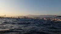Traveler datang saja ke Pantai Lovina bila ingin melihat kawanan lumba-lumba berenang bebas. Bila ditempuh dari Bandara i Gusti Ngurah Rai, butuh waktu sekitar 2,5-3 jam dengan jarak hampir 100 km dengan mobil menuju titik ini.