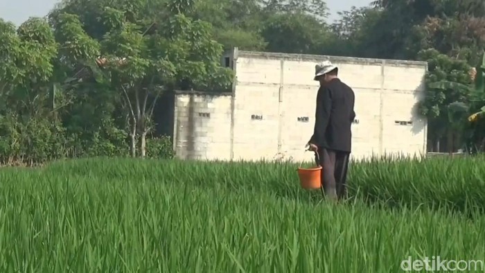 Petani di Purwakarta Petani di Purwakarta