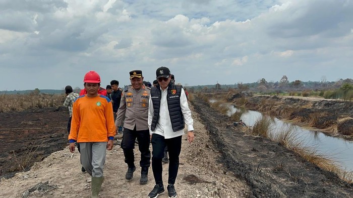 Satgas cek kebakaran lahan di Betara, Tanjab Barat, Jambi