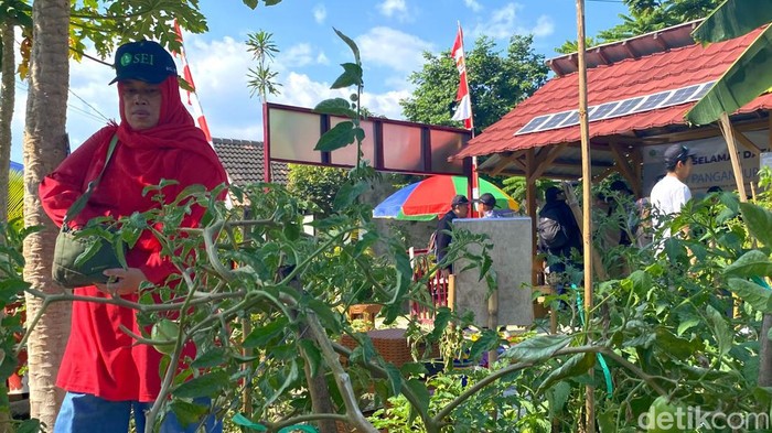 Warga Bandung manfaatkan solar cell untuk kebutuhan listrik berkebun.