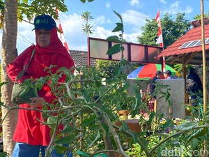 Warga Jupiter Bandung Manfaatkan Solar Cell untuk Berkebun