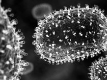 WHO Tetapkan Mpox Darurat Kesehatan Global, Apa Gejalanya?