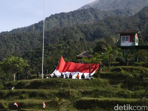 Gagah! Bendera Merah Putih Raksasa Berkibar di Lereng Merapi