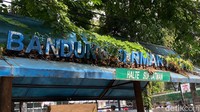 Tak hanya itu, halte di jalan itu ditumbuhi tanaman liar di atasnya (Foto: Wisma Putra/detikJabar).
