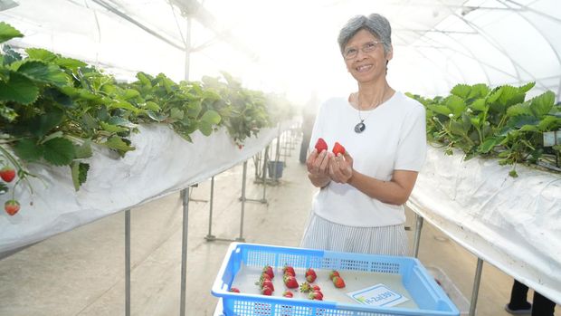 Kunjungan Chateraise Co., Ltd ke Bale Tatanen Unpad di Jatinangor.
