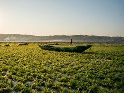Indonesia Dalam Bidikan Kamera Finalis Ocean Photographer Awards 2024